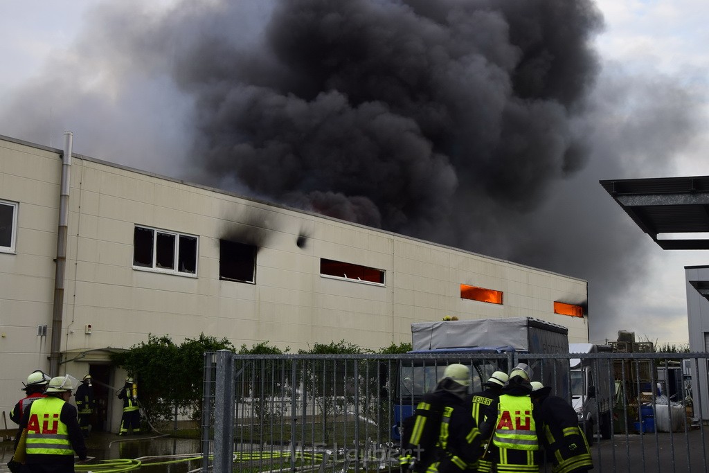 Grossbrand Halle Troisdorf Kriegsdorf Junkersring P085.JPG - Miklos Laubert